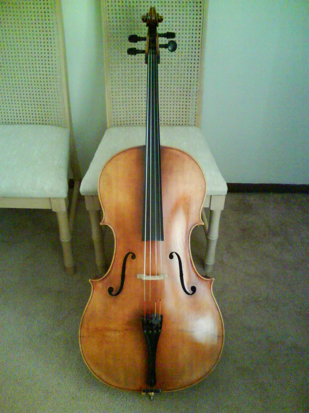 2007 Cison Cello for Sale